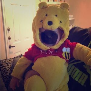 Winnie the Pooh Costume